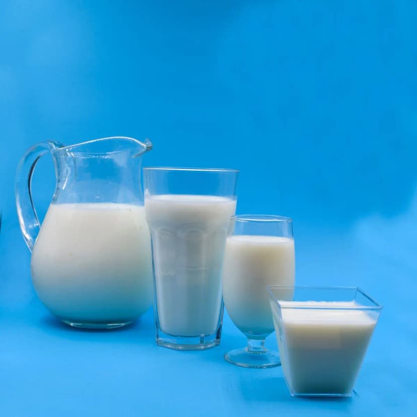 নোনতা লাচ্ছি ৫০০ মিলি