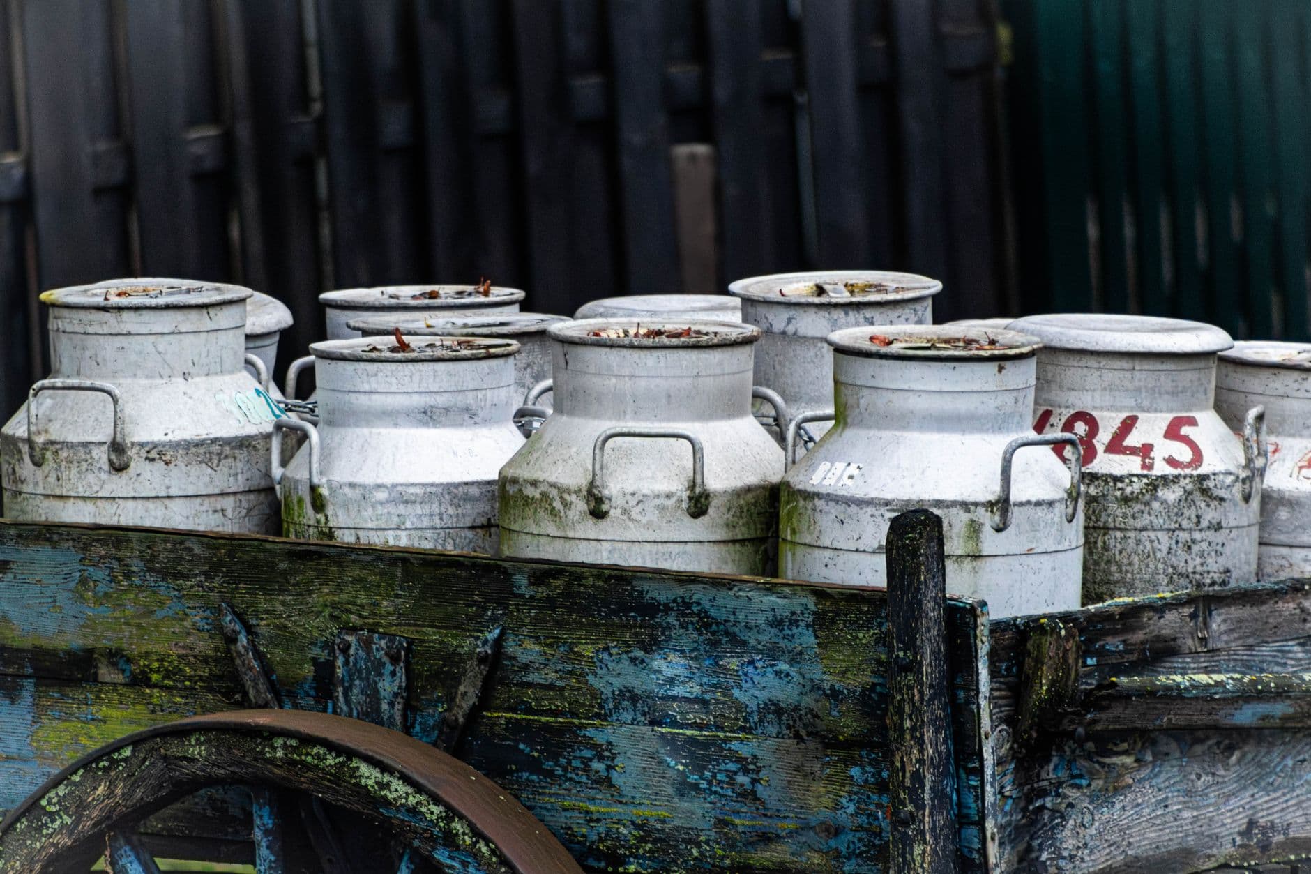 Milk cans on a wooden cart