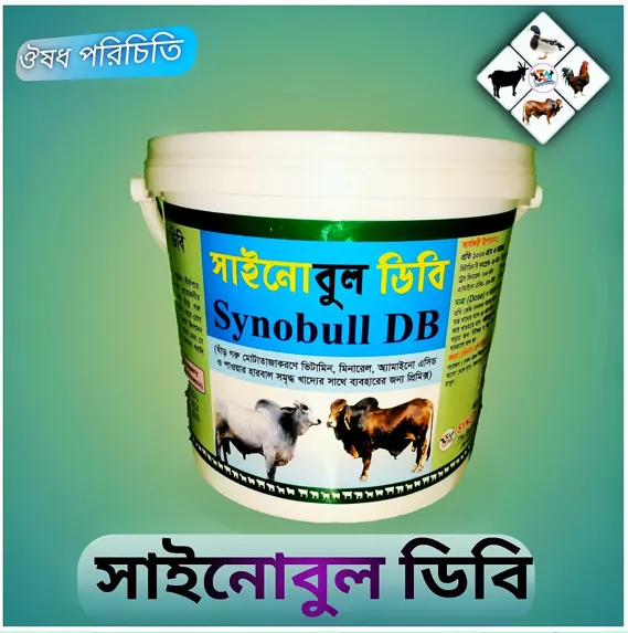 সাইনো বুল ডিবি 1 কেজি