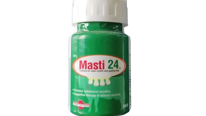 ম্যাসটি 24 পাউডার ১০০গ্রাম