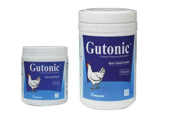 Gutonic Powder-500gm