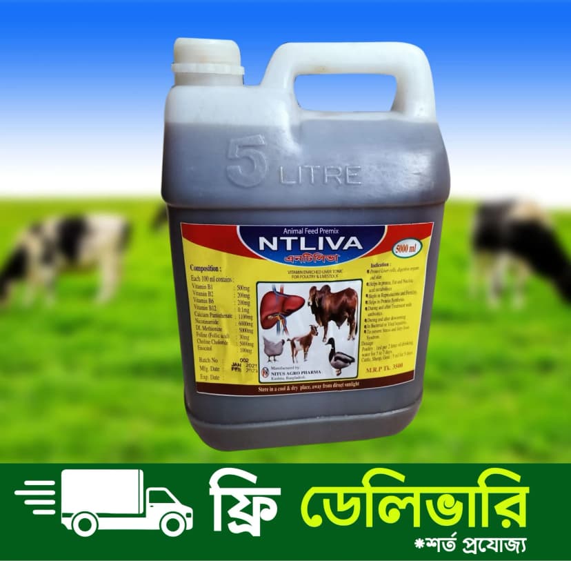 এনটিলিভা (৫কেজি)