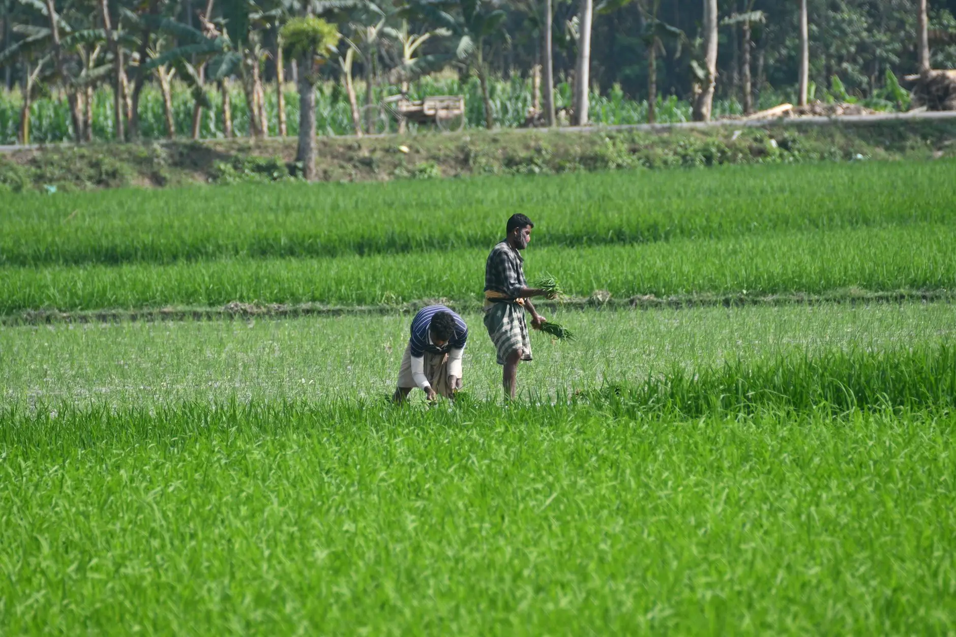 ডিজিটাল যাত্রা